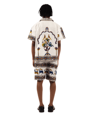 male-6