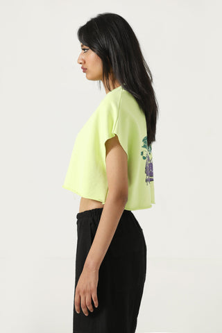 "Mehran" pistachio crop top
