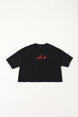 "ANKH AUR ANDHERA" CROPPED T-SHIRT - Rastah