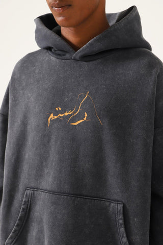 "BRAIN WASH" ACID GREY HOODIE - Rastah