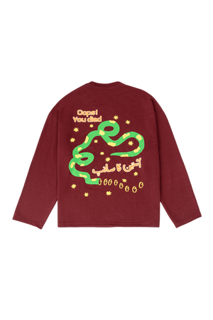 Aasteen ka saanp full-sleeve T-shirt