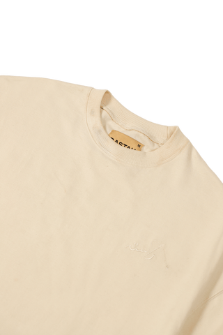 EMBROIDERED BEIGE MADE IN PAK T-SHIRT (v1)