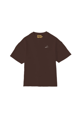 BROWN MADE IN PAK T SHIRT (v2)